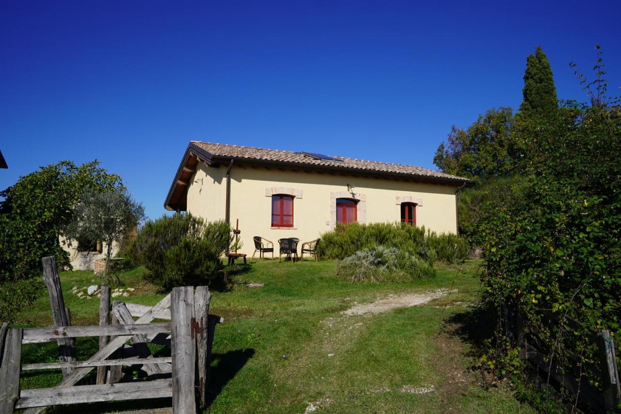 Agriturismo Il Sarale - Umbria Città di Castello Εξωτερικό φωτογραφία