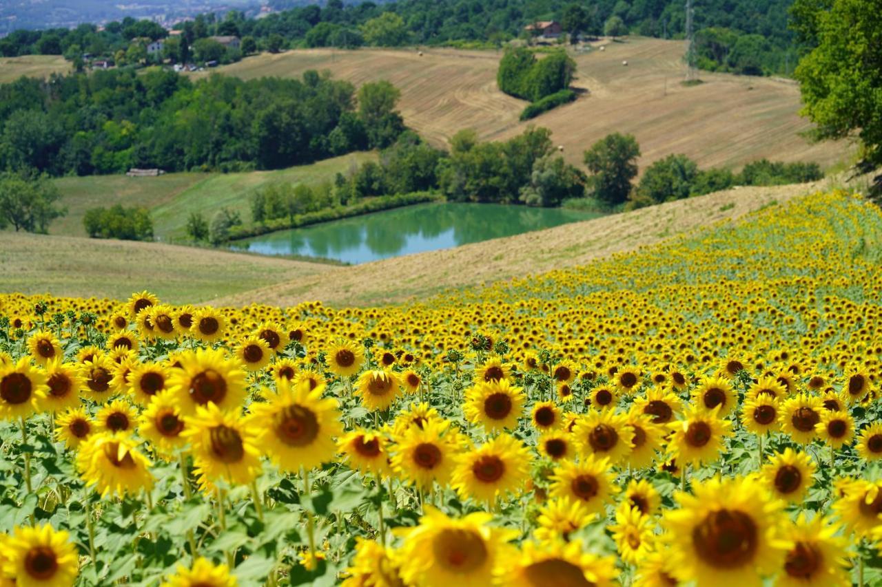 Agriturismo Il Sarale - Umbria Città di Castello Εξωτερικό φωτογραφία