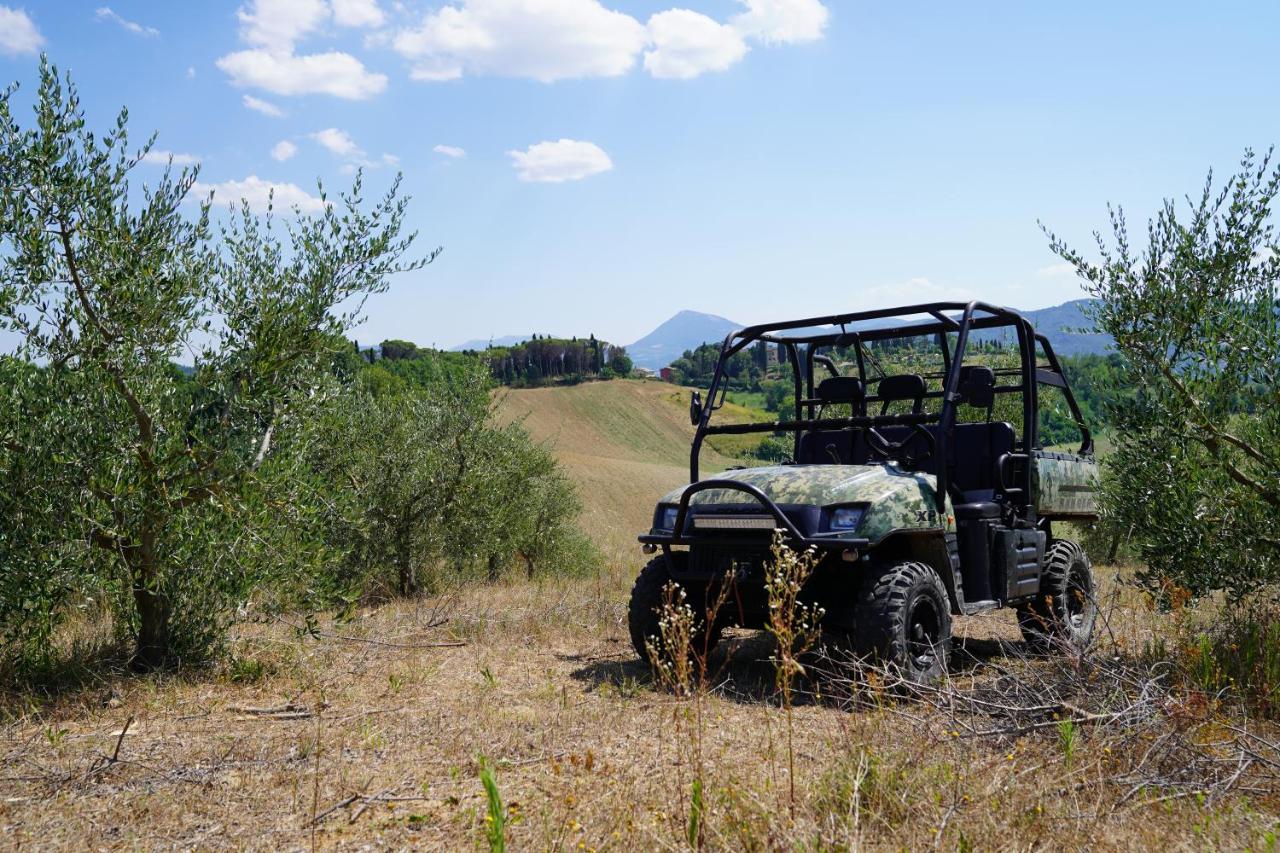 Agriturismo Il Sarale - Umbria Città di Castello Εξωτερικό φωτογραφία
